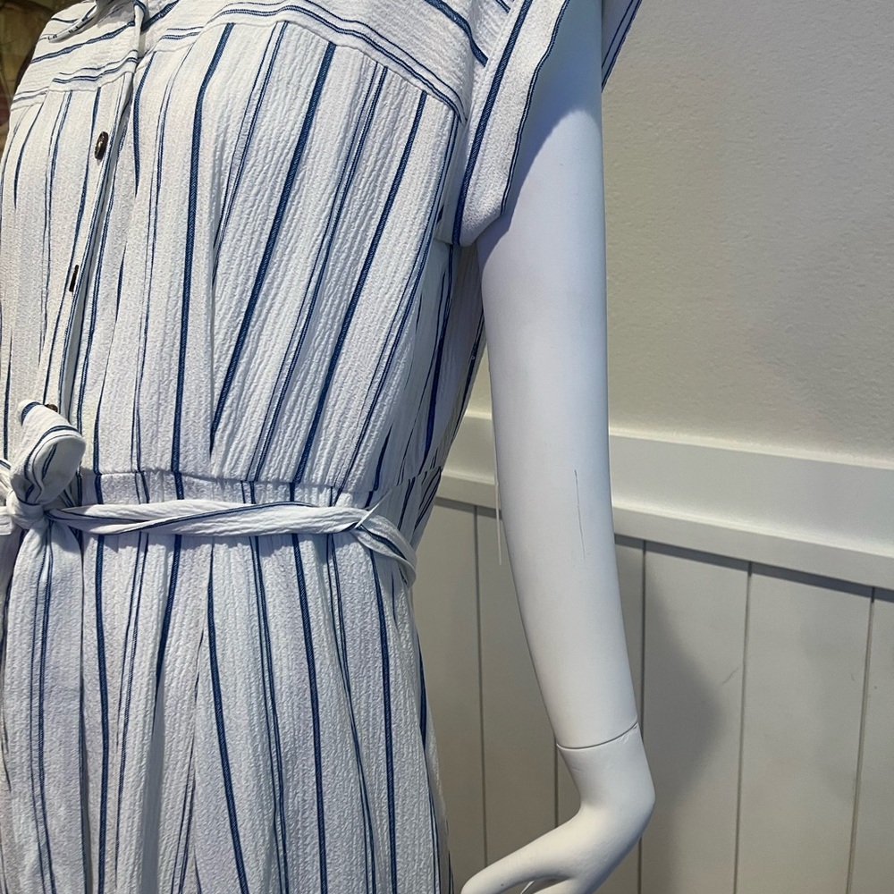 Striped Blue and White Women's Dress